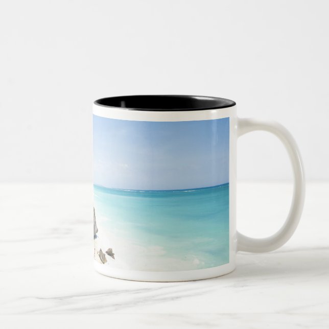 Cancun, Quintana Roo, Mexico - Ruins on a hill Two-Tone Coffee Mug (Right)