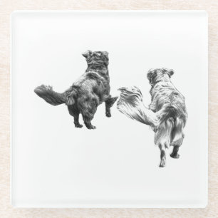 Candlelight Companions Glass Coaster