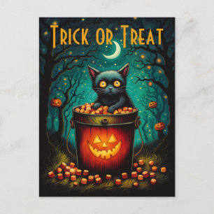 Candy Bucket And Black Cat Halloween Postcard