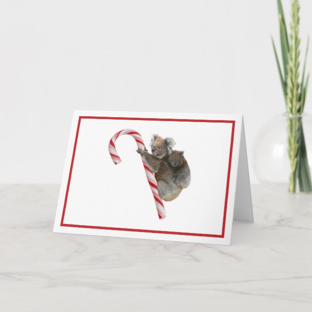 Candy Cane Australian Koala Bears Holiday Card (Front)