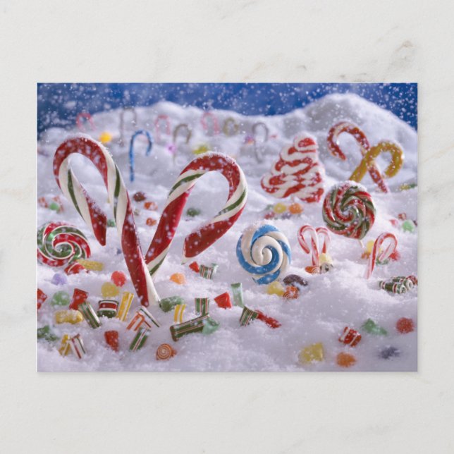 Candy Cane forest Postcard (Front)