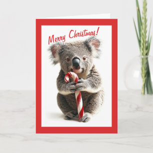 Candy Cane Koala Christmas Card