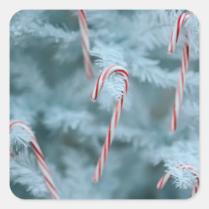 Candy Cane on Tree Square Sticker