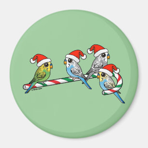 Candy Cane Santa Budgies Magnet