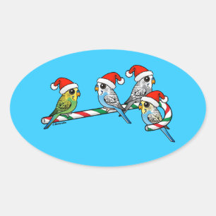 Candy Cane Santa Budgies Oval Sticker
