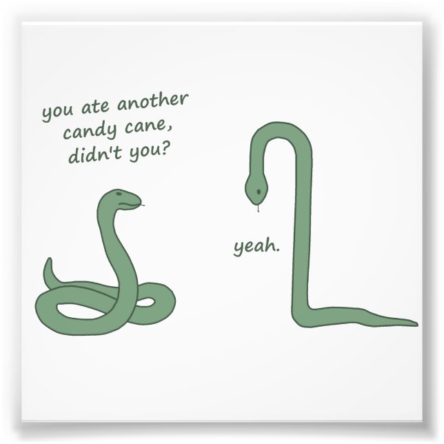 Candy Cane Snake Photo Print (Front)