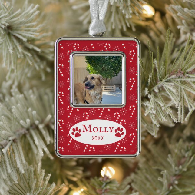 Candy Canes Pattern Dog Photo Red Framed Ornament (Tree)