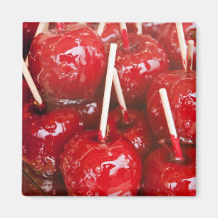 Candy coated fruit at the Stuttgart Beer Festiva Magnet