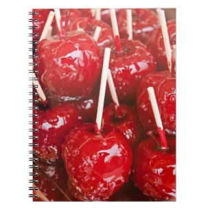 Candy coated fruit at the Stuttgart Beer Festiva Notebook