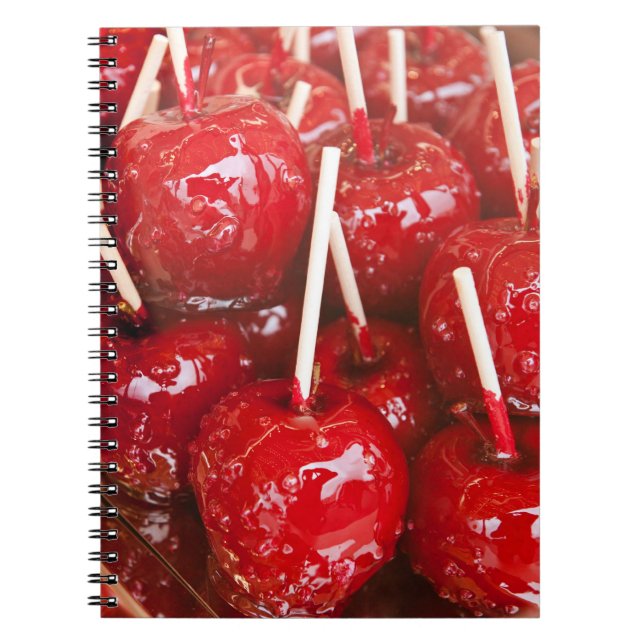 Candy coated fruit at the Stuttgart Beer Festiva Notebook (Front)