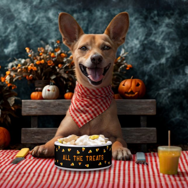 Candy Corn All the Treats Halloween Pet Dog Bowl (A candy corn pattern food bowl for your pet. Let them join in the Howl-oween fun!)