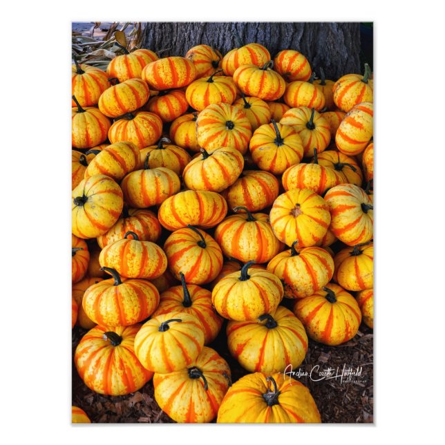Candy Corn Photo Print (Front)