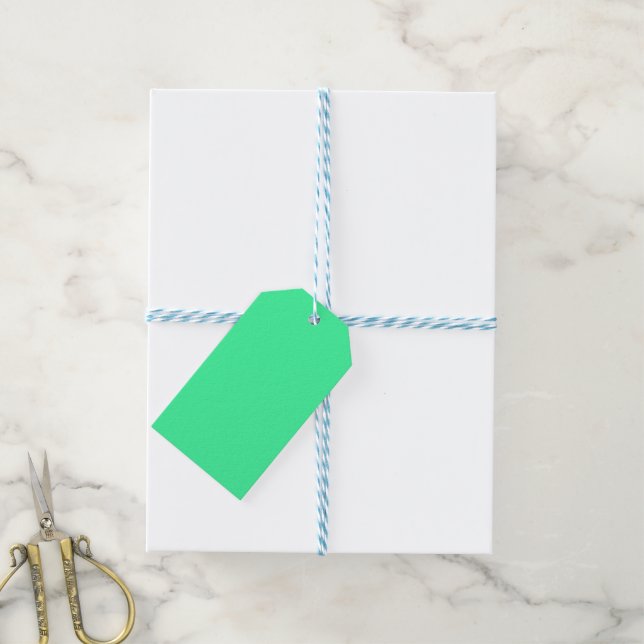 Candy Mint Green Gift Tags (With Twine)