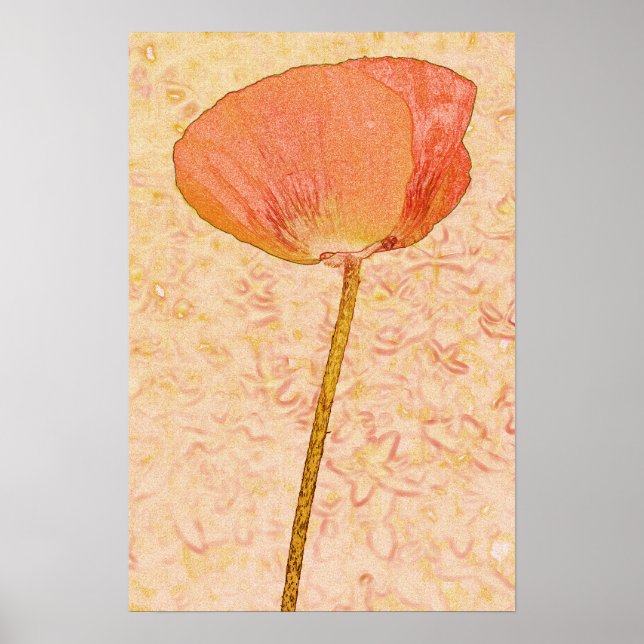 Candy orange poppy ...poster poster (Front)