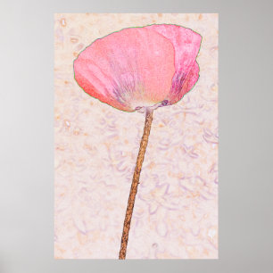 Candy pink poppy ...poster poster
