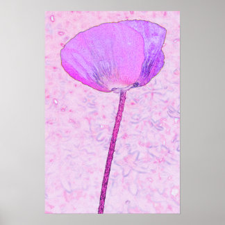 Candy pink poppy ...poster poster