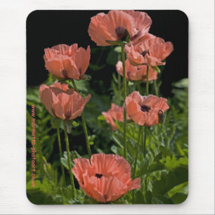 Candy Pops Mousemat