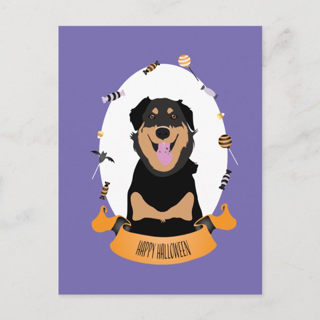 Candy Portrait Rottweiler Dog Purple Orange Postcard (Front)