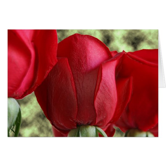 candy roses card