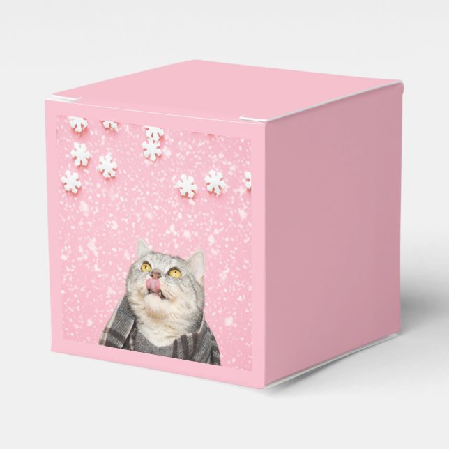Candy Snowflake Cat Favour Box (Front Side)