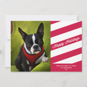 CANDY STRIPES HOLIDAY PHOTO CARD