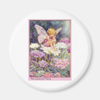 Candytuft Fairy Magnet