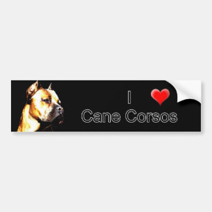 Cane Corso bumper sticker