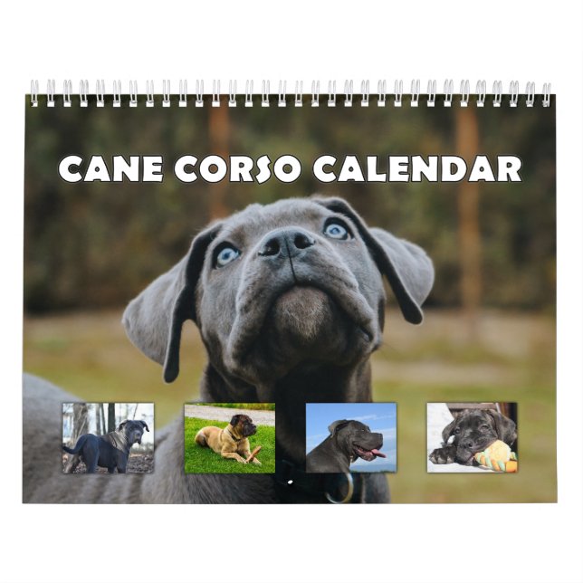 Cane Corso Calendar (Cover)