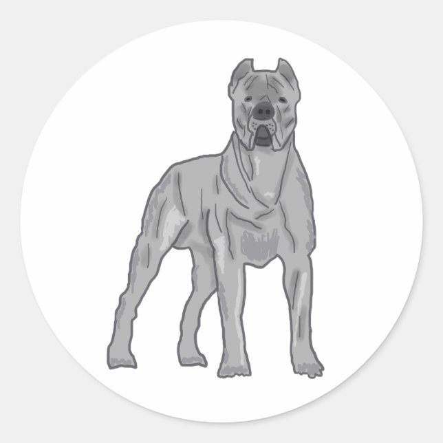Cane Corso Classic Round Sticker (Front)