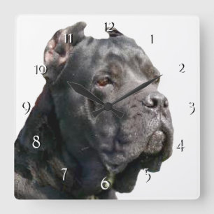 Cane Corso clock