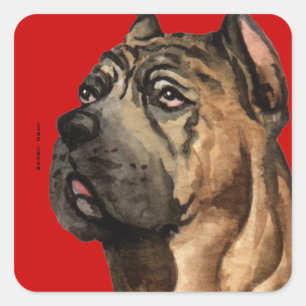 Cane Corso Colour Block Square Sticker