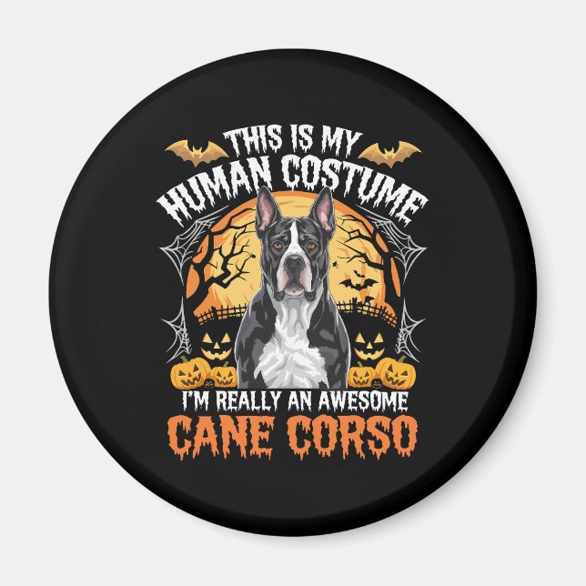 Cane Corso Dog Awesome Costume Halloween Magnet (Front)