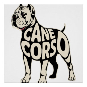 Cane Corso Dog Bold Typography Art Poster