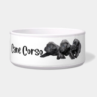 Cane Corso - dog bowl by breed 