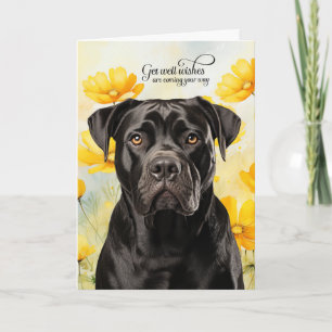 Cane Corso Dog Golden Poppies Get Well Card