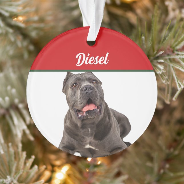 Cane Corso Dog Holiday Photo Christmas Ornament (Tree)