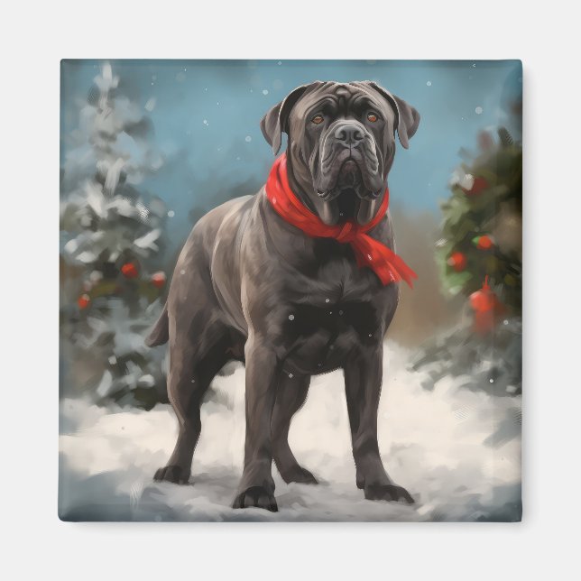 Cane Corso Dog in Snow Christmas  Magnet (Front)