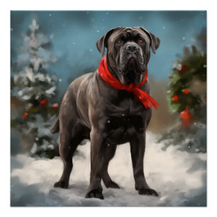 Cane Corso Dog in Snow Christmas  Poster