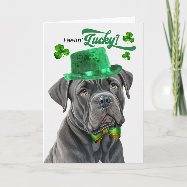 Cane Corso Dog Lucky St Patrick's Day Holiday Card (Front)