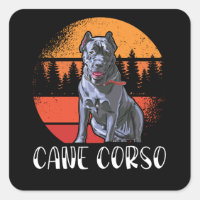 Cane Corso Dog Owner Cane Corsos