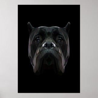 Cane Corso dog Poster