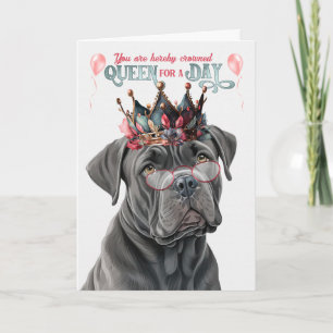 Cane Corso Dog Queen for Day Funny Birthday Card