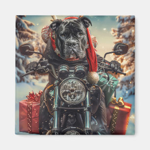 Cane Corso Dog Riding Motorcycle Christmas  Magnet