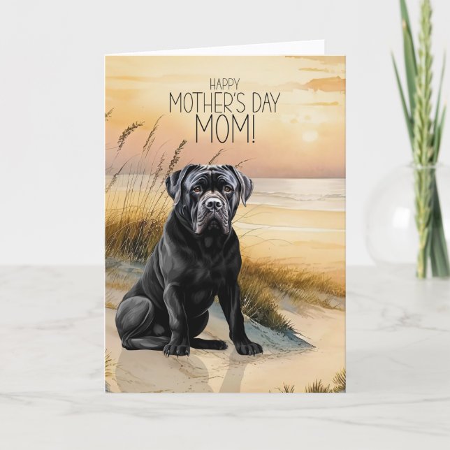 Cane Corso Dog Sunset Beach Mother's Day Holiday Card (Front)