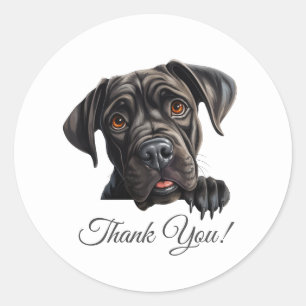 Cane Corso Dog Thank You Classic Round Sticker
