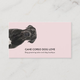Cane Corso Dog Walking Pet Sitting Care Boarding Business Card