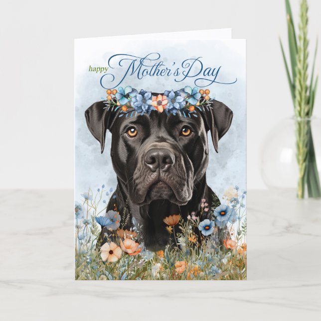 Cane Corso Dog Wildflowers Mother's Day Holiday Card (Front)