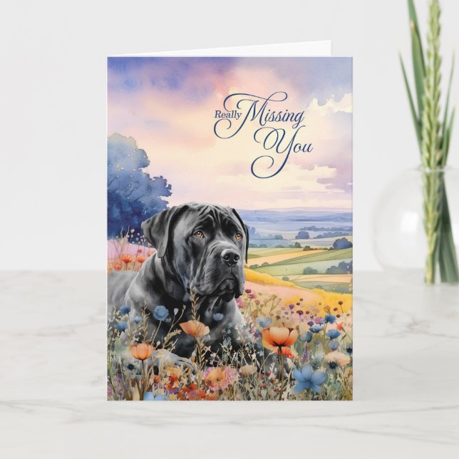 Cane Corso Dog Wildflowers Scenic Vista Miss You Card (Front)