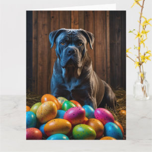 Cane Corso Easter Eggs  Card