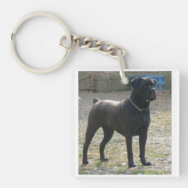 cane corso full.png key ring (Front)